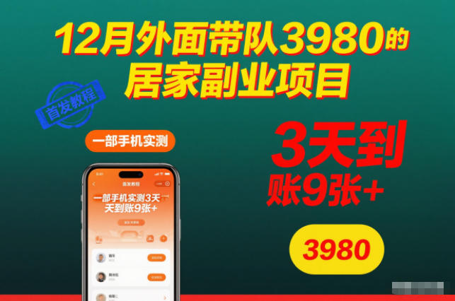 12月外面带队3980的居家副业项目，一部手机实测3天到账9张+，首发教程【揭秘】-大伟资源网