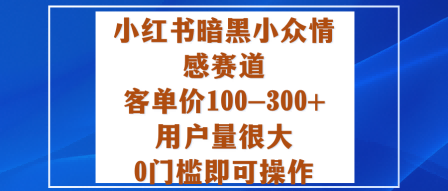 小红书暗黑小众情感赛道，客单价100-300+用户量很大，0门槛即可操作-大伟资源网
