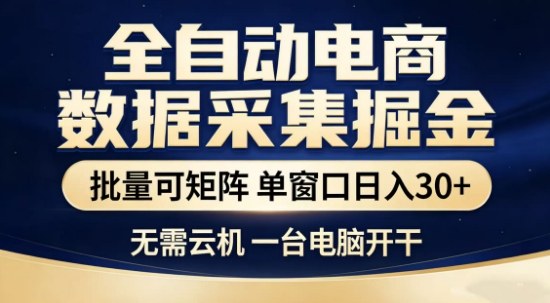 独家电商数据全自动采集项目，批量可矩阵，单窗口轻松日入3张+【揭秘】-大伟资源网