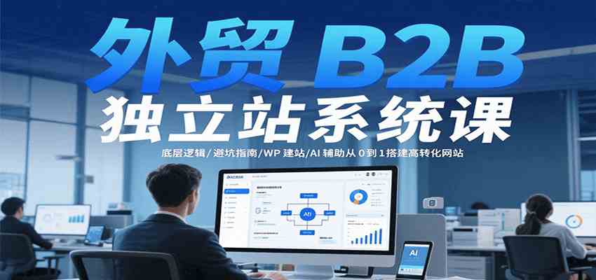 外贸B2B独立站系统课：底层逻辑/避坑指南/WP建站/AI辅助从0到1搭建高转化网站-大伟资源网