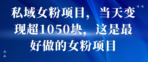 私域女粉项目，当天变现超1k，这是最好做的女粉项目，可放大操作-大伟资源网