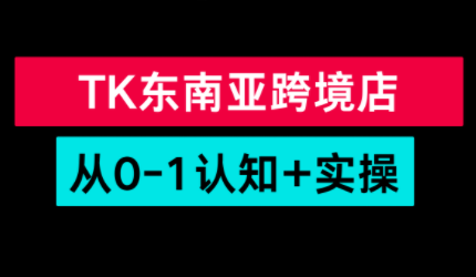 TikTok东南亚跨境从0-1认知实操课-大伟资源网