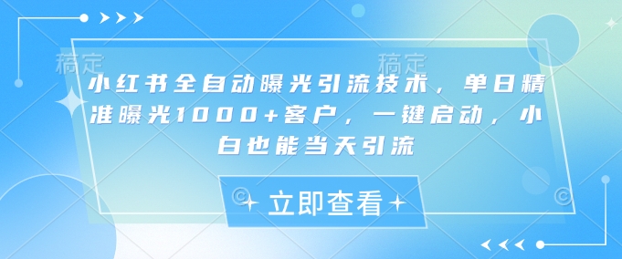 小红书全自动曝光引流技术，单日精准曝光1000+客户，一键启动，小白也能当天引流【揭秘】-大伟资源网