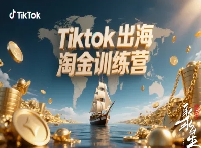 Tiktok出海淘金训练营，跨境电商TK实战变现-大伟资源网