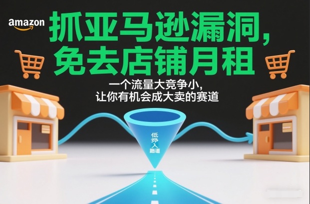 抓亚马逊漏洞，免去店铺月租，一个流量大竞争小，让你有机会成大卖的赛道-大伟资源网
