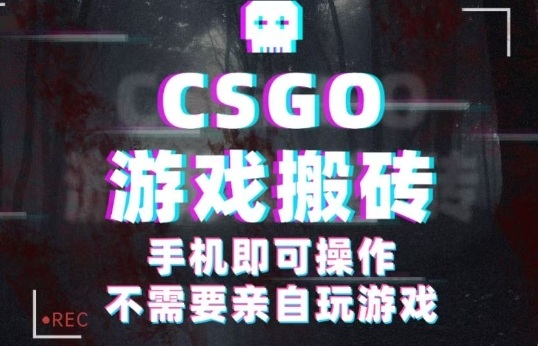 CSGO游戏挂G捡漏，单日扫货5张+，年底小高峰上车可吃肉，手机即可操作，兼职副业创业网创【揭秘】-大伟资源网