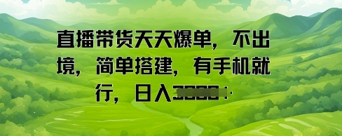 直播带货天天爆单，不出境，简单搭建，有手机就行，日入多张-大伟资源网