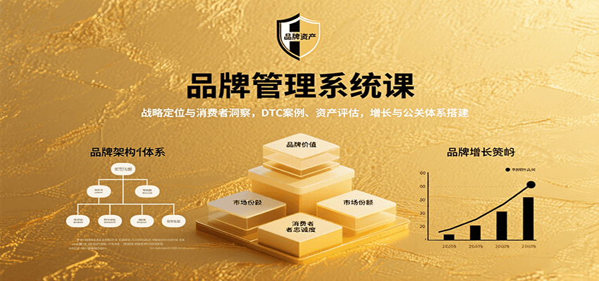 品牌管理系统课：战略定位与消费者洞察，DTC案例、资产评估，增长与公关体系搭建-大伟资源网