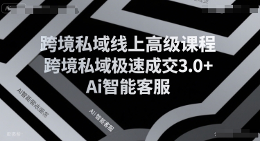 跨境私域线上高级课程，跨境私域极速成交3.0+Ai智能客服-大伟资源网