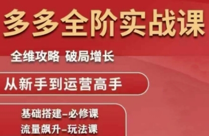 拼多多全阶实战课程，全维攻略，破局增长，从新手到运营高手-大伟资源网