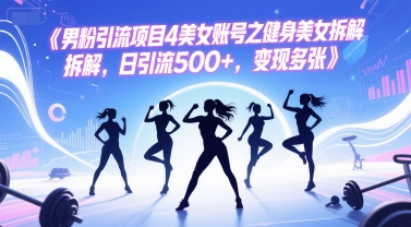 男粉引流项目4美女账号之健身美女拆解，日引流500+，变现多张-大伟资源网