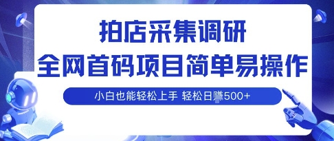拍店采集调研，全网首码项目，简单易操作， 小白也能轻松上手，多账号操作，轻松日入5张【揭秘】-大伟资源网