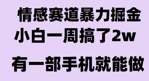 情感暴力掘金项目，新人操作一周挣了2W，长期稳定小白可做【揭秘】-大伟资源网