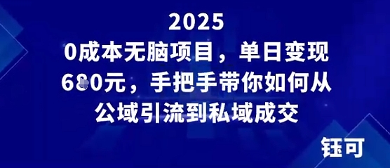 0成本无脑项目，单日变现多张，手把手带你如何从公域引流到私域成交-大伟资源网
