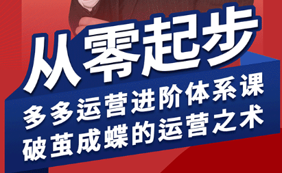 海神·拼多多运营进阶系统课(更新2026)-大伟资源网