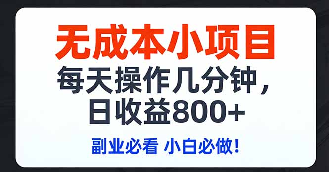 无成本小项目,每天操作几分钟,日收益800+ 副业必看 小白必做！-大伟资源网