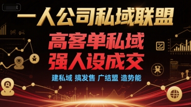 一人公司私域联盟，高客单私域，强人设成交，建私域 搞发售 广结盟 造势能-大伟资源网
