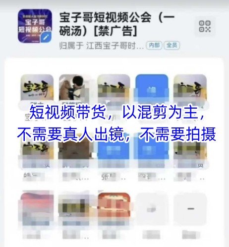 宝子哥头部团队短视频带货，以混剪为主，不需要真人出镜，不需要拍摄【更新26年3月】-大伟资源网