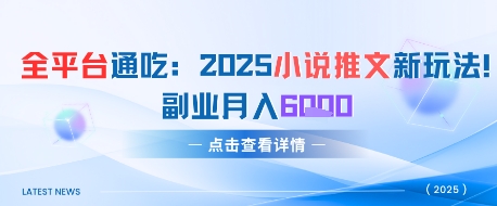 全平台通吃：2025小说推文新玩法，副业月入6k-大伟资源网