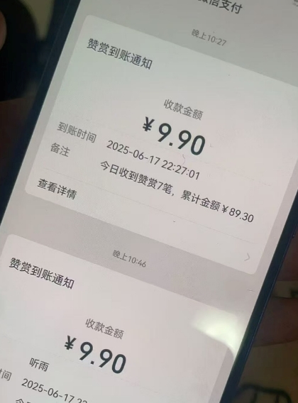 二次元男粉快速变现项目，私域卖虚拟产品，百分利润-大伟资源网