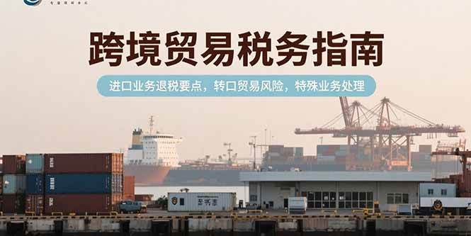 （15381期）跨境贸易税务指南，进口业务退税要点，转口贸易风险，特殊业务处理-大伟资源网