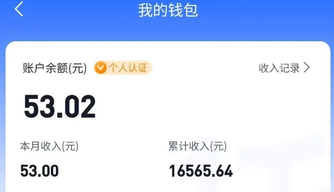 适合空闲时间操作的小红书低保项目，小红薯发布笔记，单个账号每天可获得2-12元左右-大伟资源网