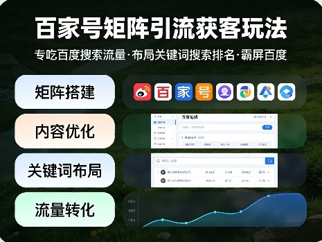 百家号矩阵引流获客玩法，专吃百度搜索流量，布局关键词搜索排名，霸屏百度-大伟资源网