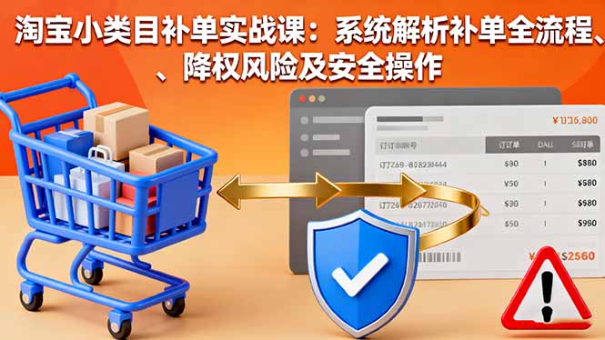 淘宝小类目补单实战课：系统解析补单全流程、降权风险及安全操作-大伟资源网