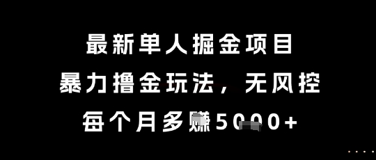 最新单人掘金项目，暴力撸金玩法，无风控，每个月多挣5k+【揭秘】-大伟资源网