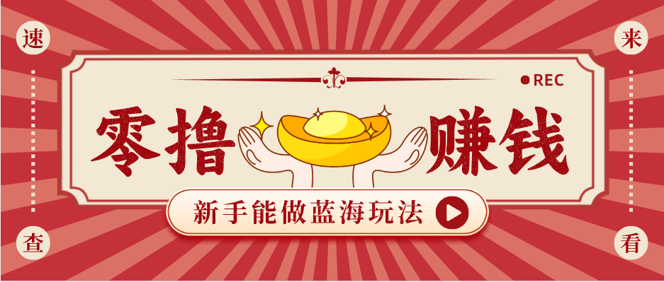 新手也能变现的蓝海玩法，一个人人能做的项目，需求量极大日入300+！-大伟资源网