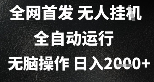 2025首发无人挂G项目，日入2k+，全自动运行，无脑操作，长期稳定 小白可玩【揭秘】-大伟资源网