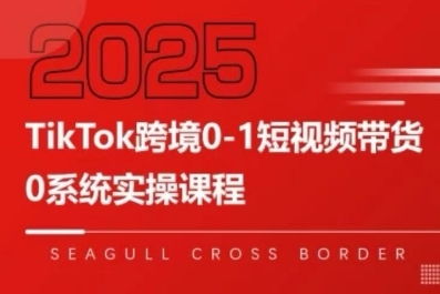 TikTok跨境0-1短视频带货，系统拆解TikTok跨境带货全链路，实现跨境可持续盈利-大伟资源网