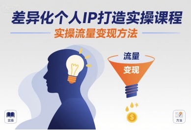 差异化个人IP打造实操课程，实操流量变现方法-大伟资源网