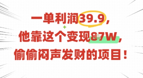 一单利润39.9，有人靠这个变现几十个，偷偷闷声发财的项目-大伟资源网