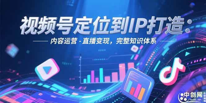 （15173期）视频号定位到IP打造：账号搭建-内容运营-直播变现，完整知识体系-大伟资源网