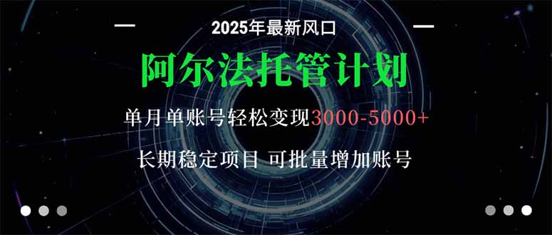 阿尔法托管计划 单账号月入3000-5000，长期稳定项目，新手小白轻松上手。-大伟资源网
