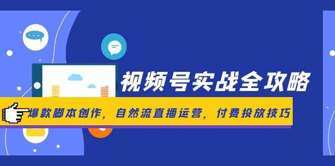 （14925期）视频号实战全攻略，爆款脚本创作，自然流直播运营，付费投放技巧-大伟资源网