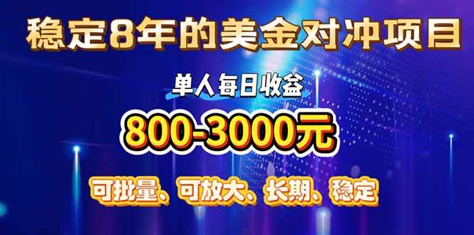 （15782期）稳定8年的美金对冲创业项目，单人每日收益800-3000，小众暴力项目-大伟资源网