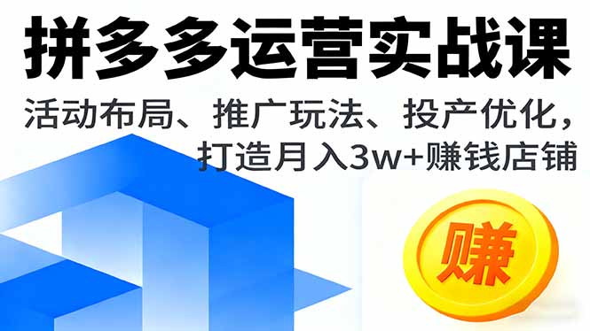拼多多运营实战课，活动布局、推广玩法、投产优化，打造月入3w+赚钱店铺-大伟资源网