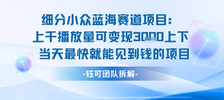 小众蓝海赛道项目：当天变现1k+适合新手操作 +适合长期玩-大伟资源网