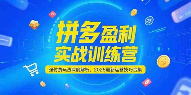 拼多多盈利实战训练营，强付费玩法深度解析，2025最新运营技巧合集-大伟资源网