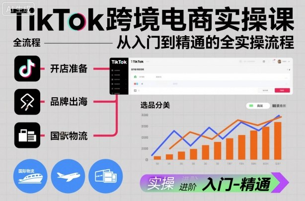 TikTok跨境电商实操课，从入门到精通的全实操流程-大伟资源网