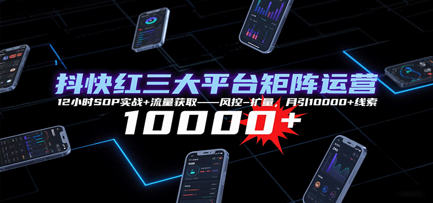 抖快红三大平台矩阵运营，12小时SOP实战+流量获取-风控-扩量，月引10000+线索-大伟资源网