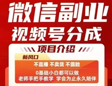 微信副业视频号分成，不直播 不卖货 不露脸，三五分钟即可完成一条作，每日收益几十、几张不等-大伟资源网