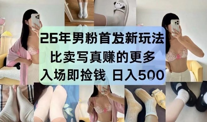 26年男粉首发最新3.0玩法，独此一家，比卖写真賺的更多，入场即捡钱，日入5张【揭秘】-大伟资源网
