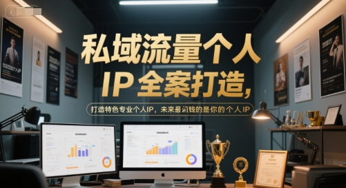 私域流量个人IP全案打造，打造特色专业个人IP，未来最值钱的是你的个人IP-大伟资源网