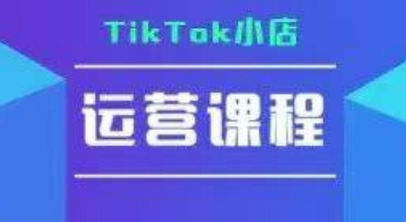 TikTok小店运营实操课，TK小店运营实操+疑难答疑-大伟资源网