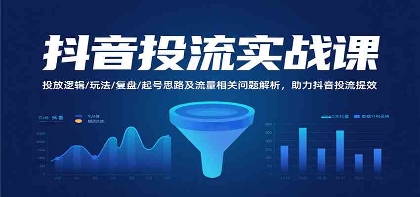 抖音投流实战课，投放逻辑/玩法/复盘/起号思路及流量相关问题解析，助力抖音投流提效-大伟资源网