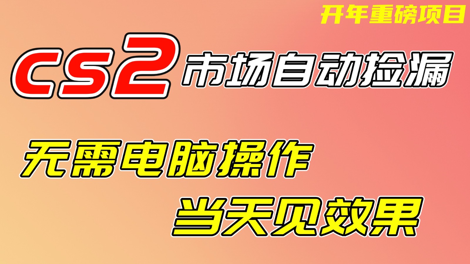 CS2市场挂机项，无需电脑操作，无需进入游戏，当天见效果，支持任何形式验证-大伟资源网