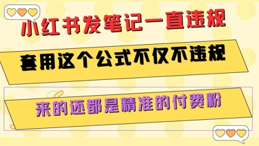 小红书发笔记一直违规，套用这个公式不仅不违规，来的还都是精准的付费粉-大伟资源网